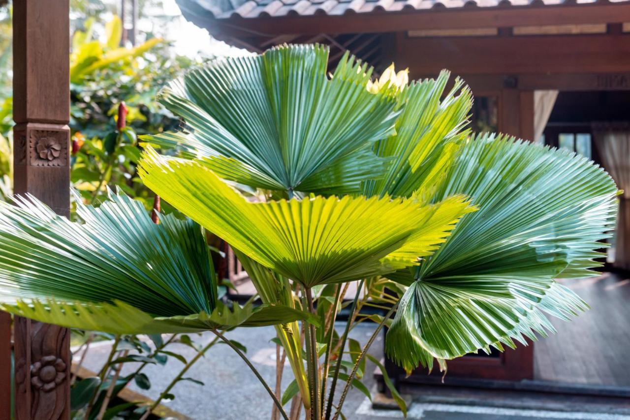 Villa Waturenggong Ubud מראה חיצוני תמונה